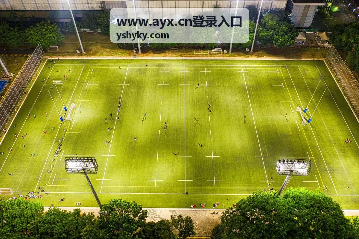 会员在手机上查看 AYX 登录入口与频道界面的示意图