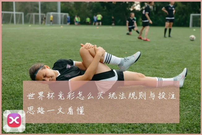 世界杯竞彩怎么买 玩法规则与投注思路一文看懂