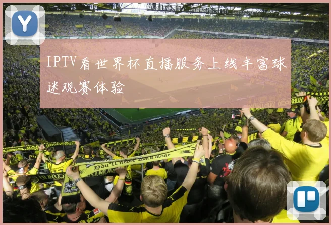 IPTV看世界杯直播服务上线丰富球迷观赛体验