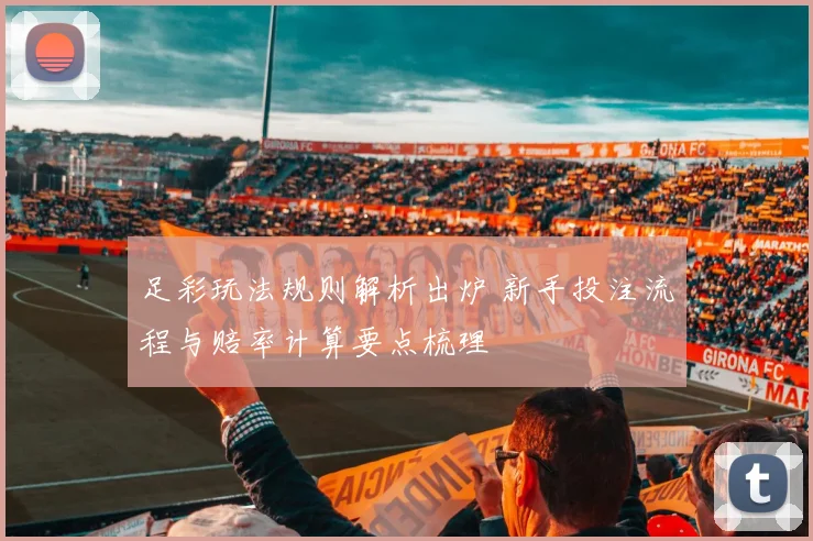足彩玩法规则解析出炉 新手投注流程与赔率计算要点梳理