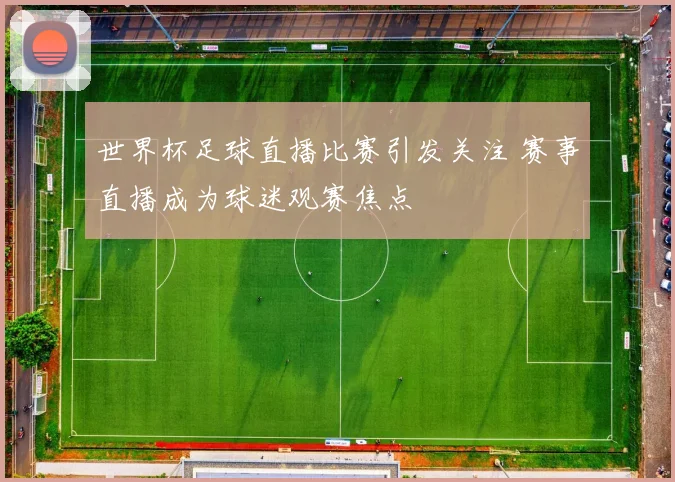 世界杯足球直播比赛引发关注 赛事直播成为球迷观赛焦点