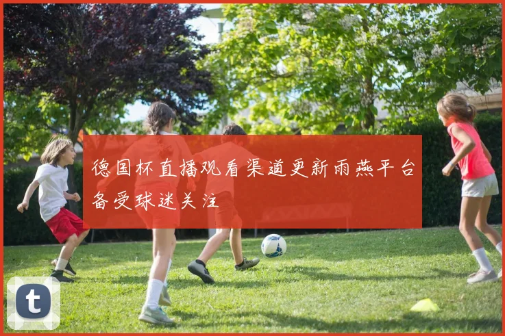 德国杯直播观看渠道更新雨燕平台备受球迷关注