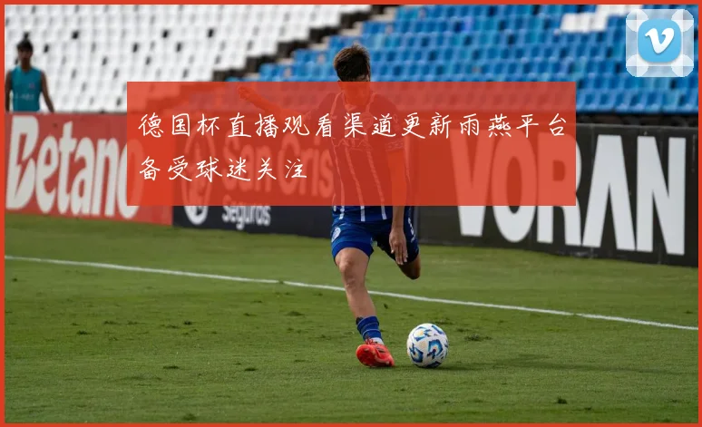 德国杯直播观看渠道更新雨燕平台备受球迷关注