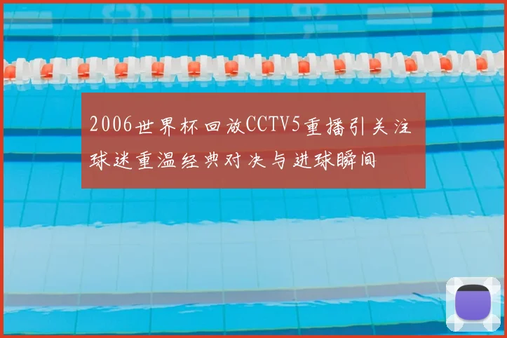 2006世界杯回放CCTV5重播引关注 球迷重温经典对决与进球瞬间