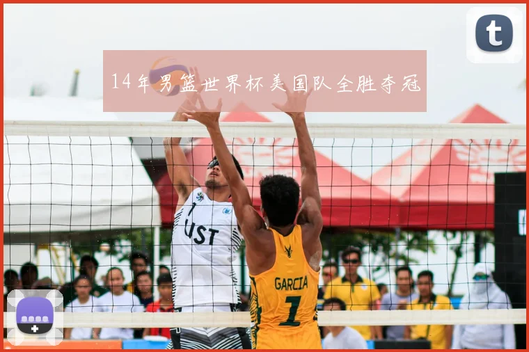 14年男篮世界杯美国队全胜夺冠