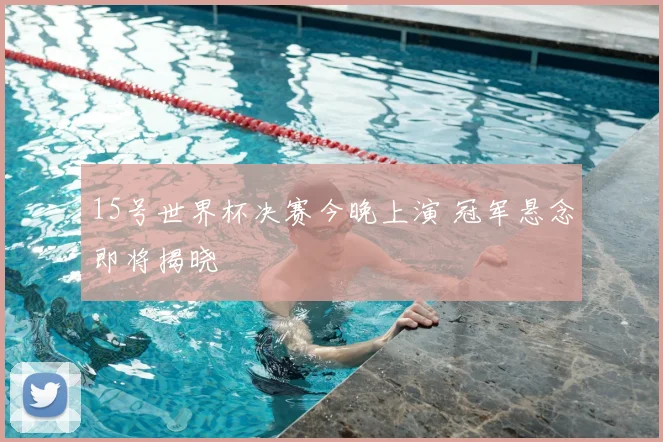 15号世界杯决赛今晚上演 冠军悬念即将揭晓
