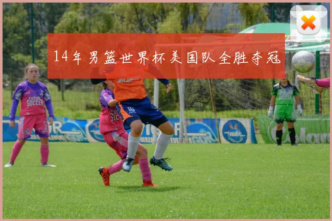 14年男篮世界杯美国队全胜夺冠