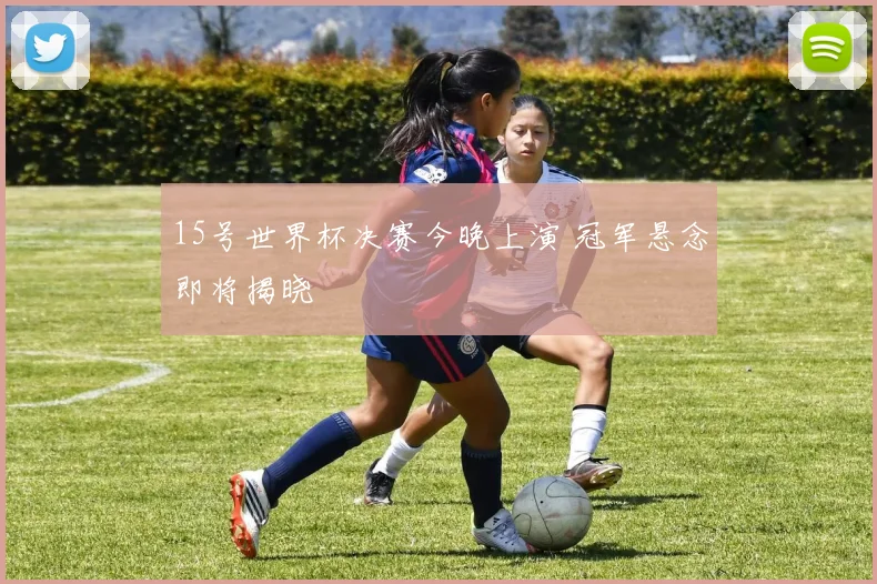 15号世界杯决赛今晚上演 冠军悬念即将揭晓