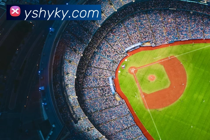 世界杯官网线上平台发展历程